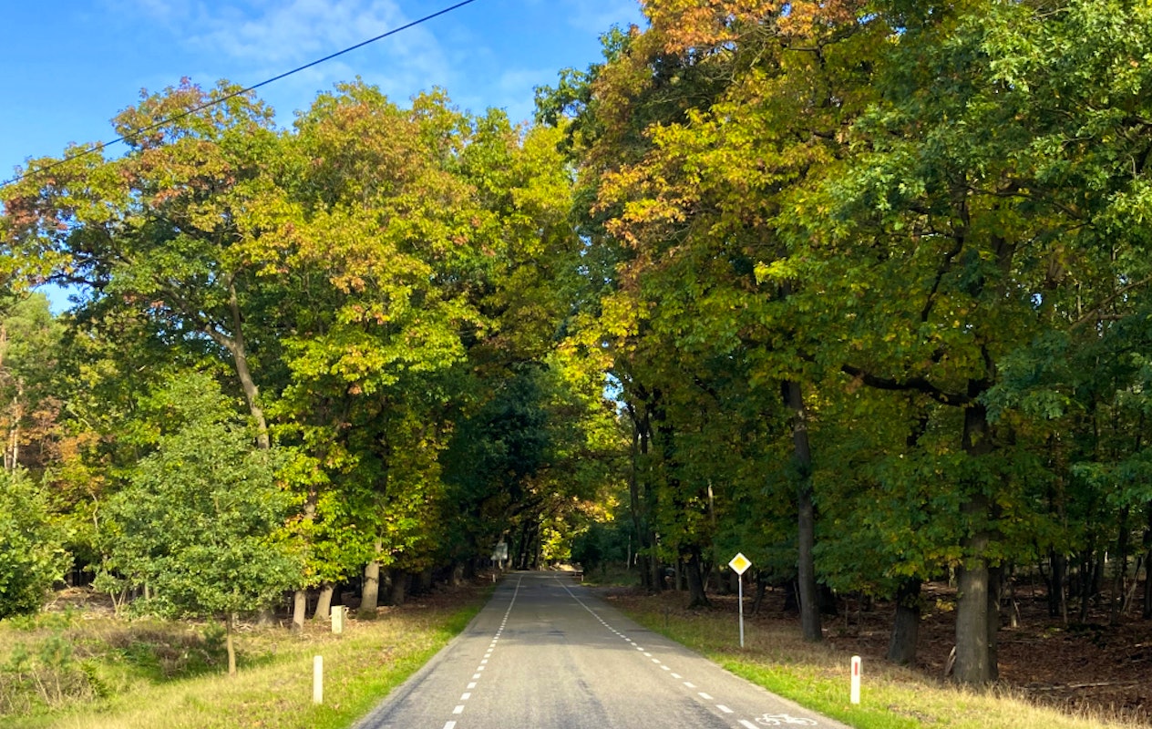 Navigame autorally - Volg het kompas, ontdek en beleef!