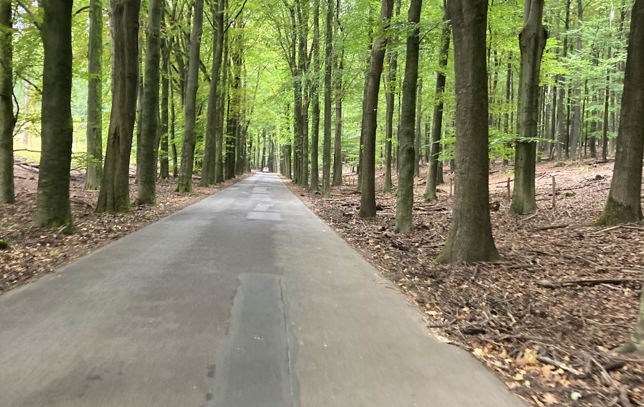 Navigame autorally - Volg het kompas, ontdek en beleef!