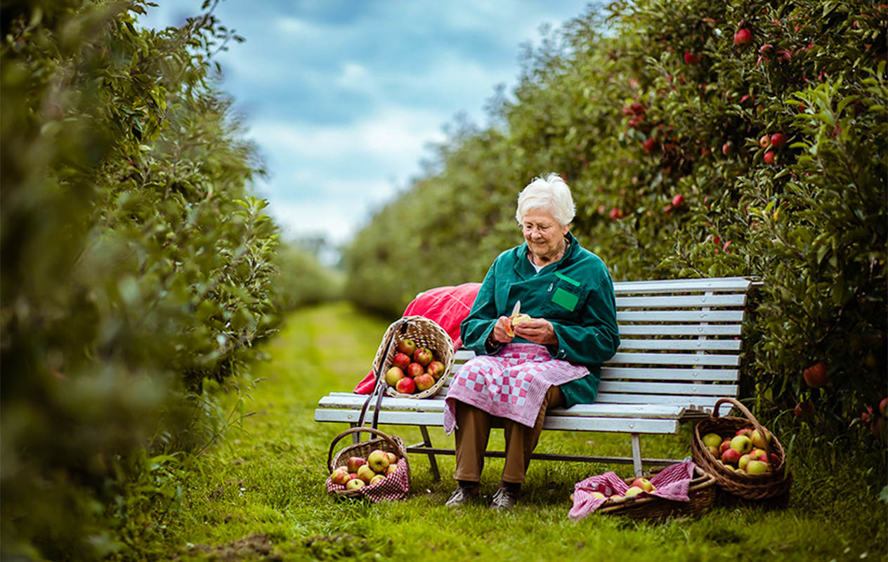 Oma's brievenbus-taart of cake naar keuze