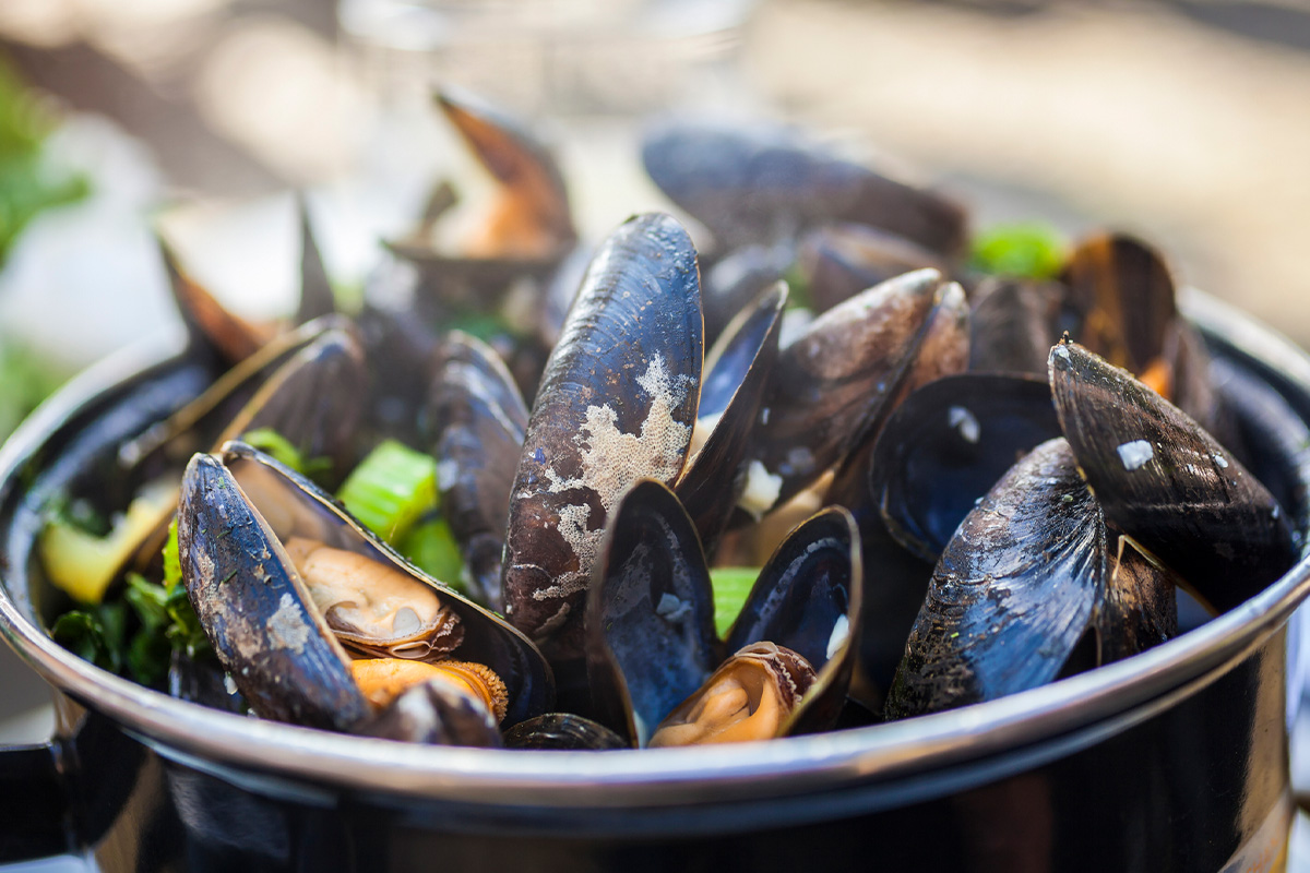 Onbeperkt mosselen + friet bij Waddengenot aan Zee