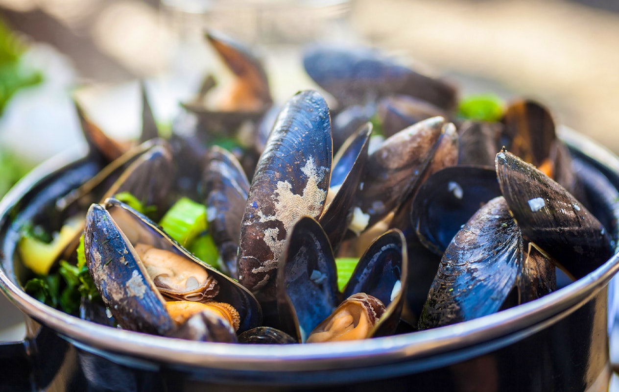 Onbeperkt mosselen + friet bij Waddengenot aan Zee