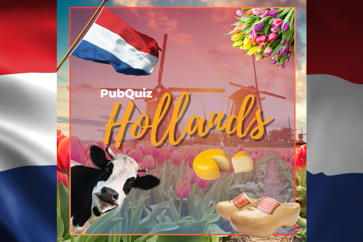 Online pubquiz (keuze uit 6+ themaquizzen)