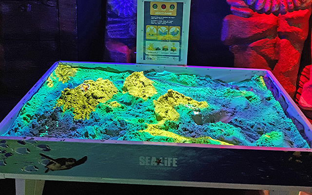 Entreeticket SEA LIFE Scheveningen 