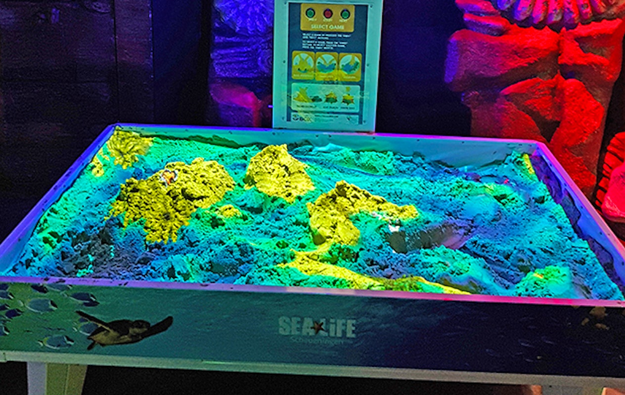 Entreeticket SEA LIFE Scheveningen