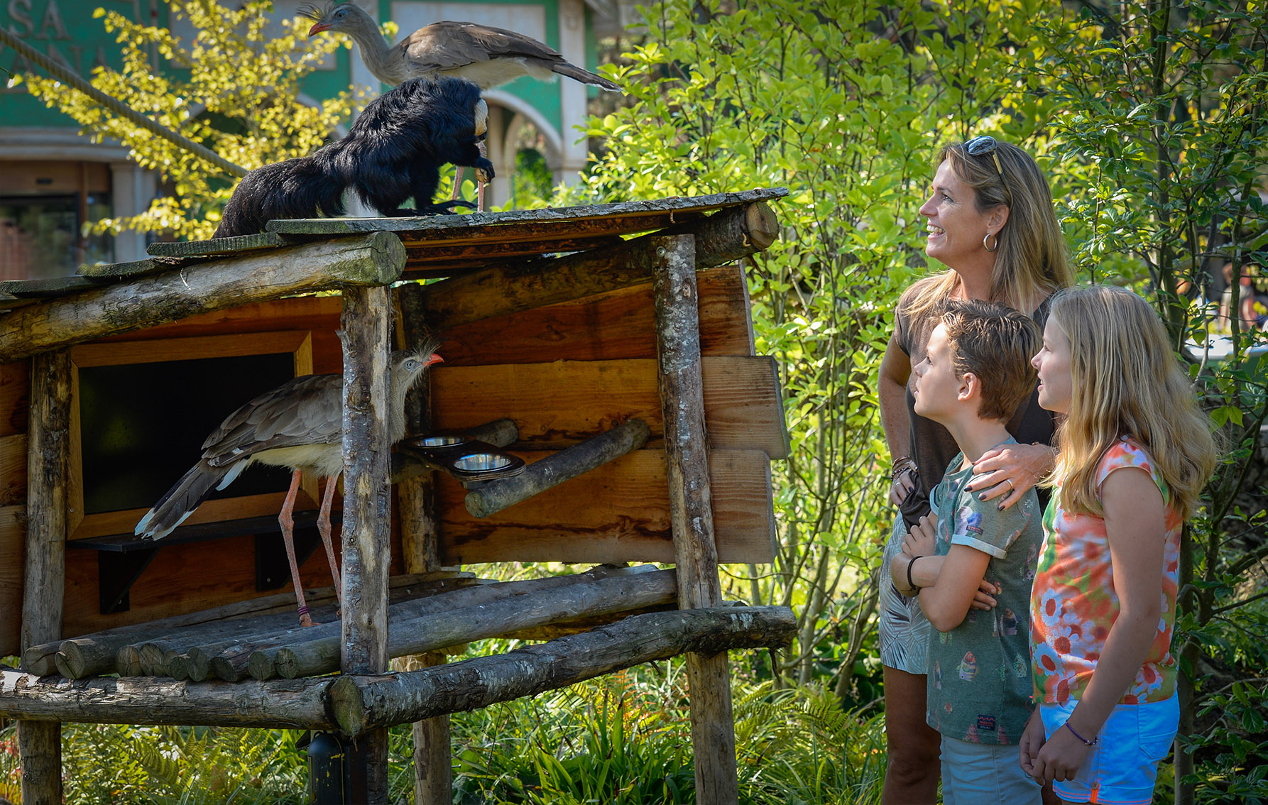 Découvrez le monde des oiseaux au parc d’oiseaux Avifauna!