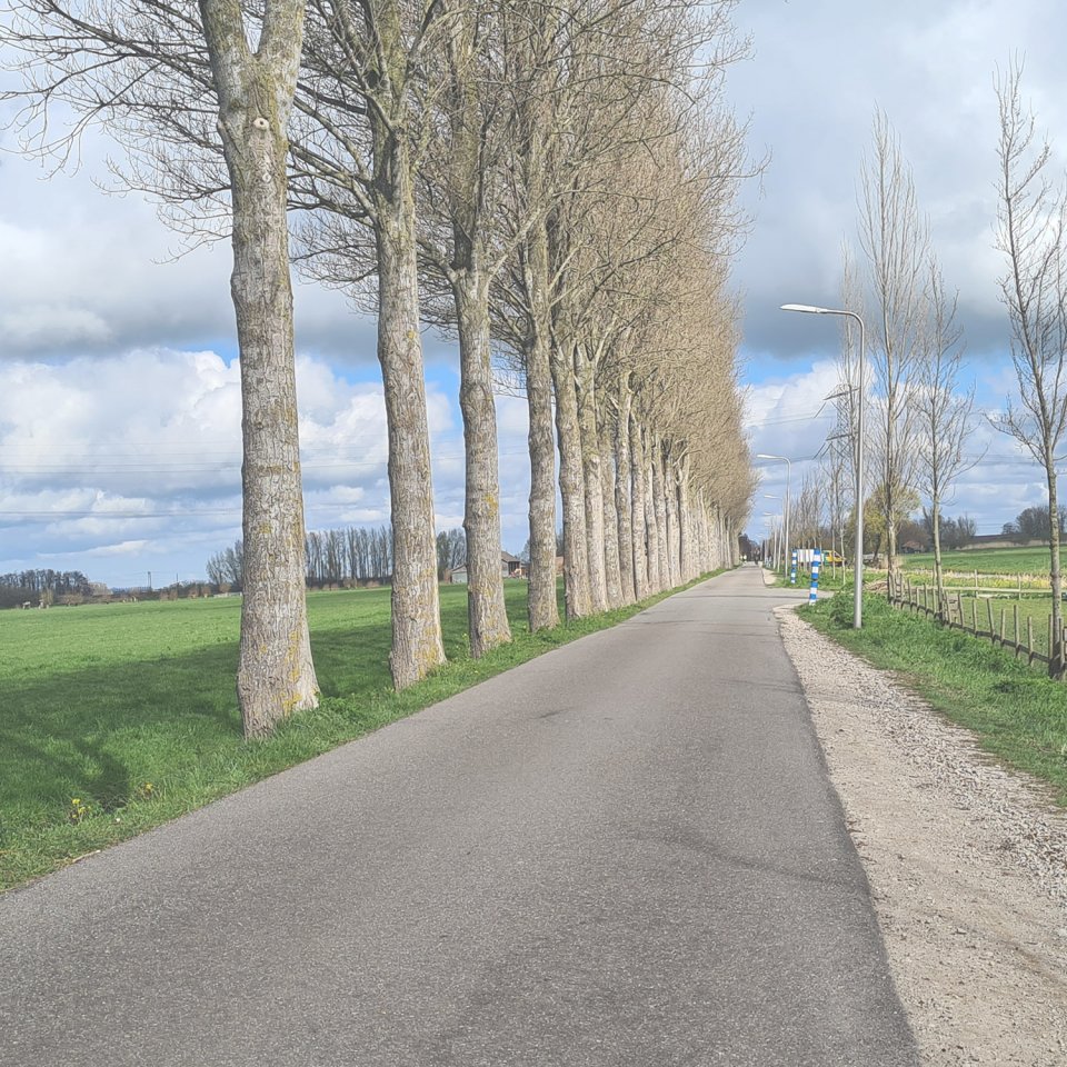 Ontdek Nederland met een autopuzzelroute! 