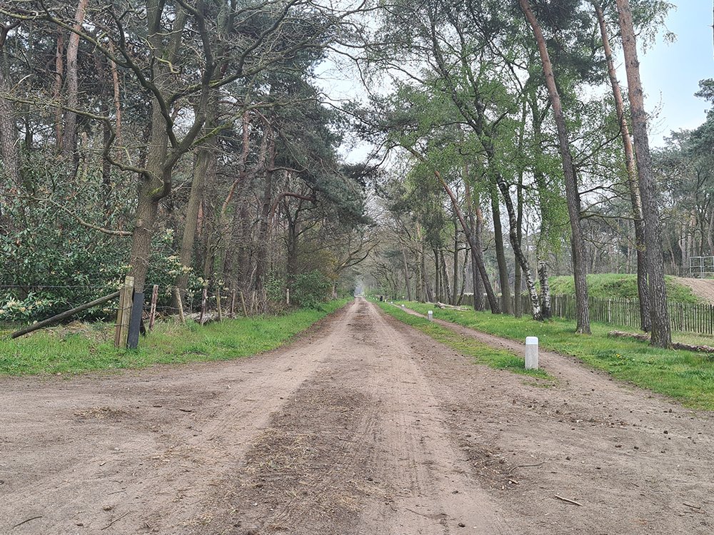 Ontdek Nederland met een autopuzzelroute! 
