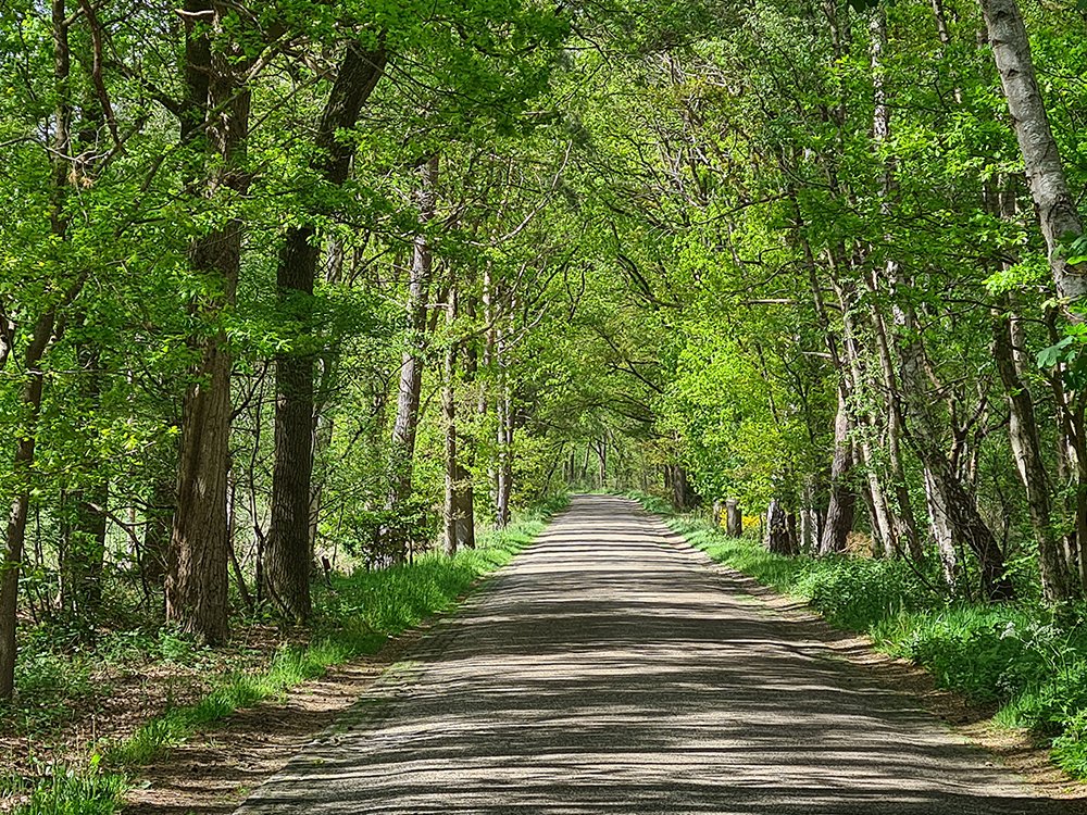 Ontdek Nederland met een autopuzzelroute! 