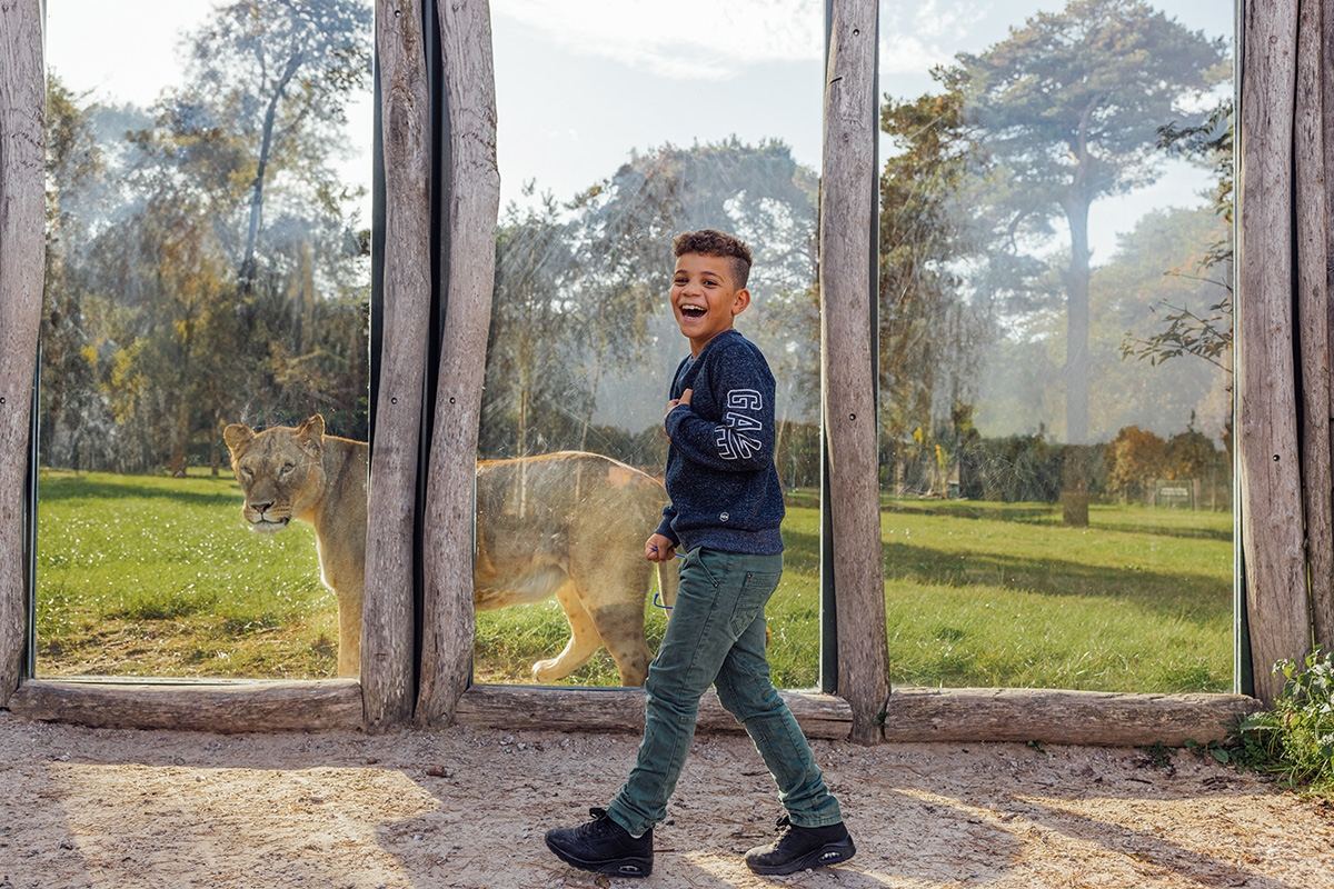 Weekend of midweek op Vakantiepark Dierenbos met toegang tot Beekse Bergen