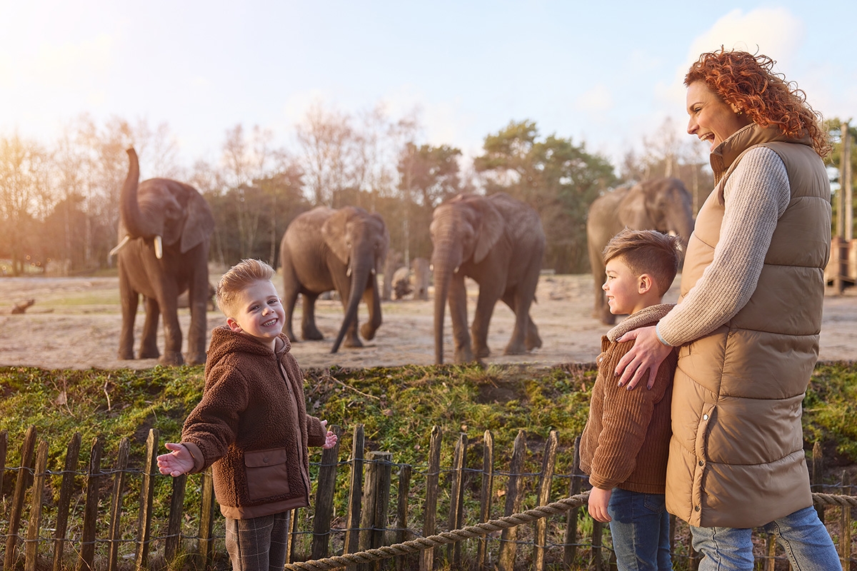 Weekend of midweek op Vakantiepark Dierenbos met toegang tot Beekse Bergen