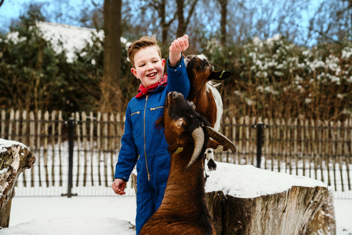 Weekend of midweek op Vakantiepark Dierenbos met toegang tot Beekse Bergen