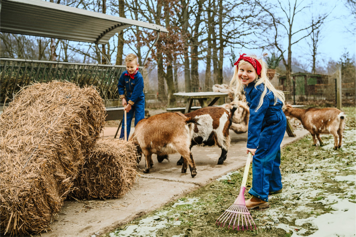 Weekend of midweek op Vakantiepark Dierenbos met toegang tot Beekse Bergen