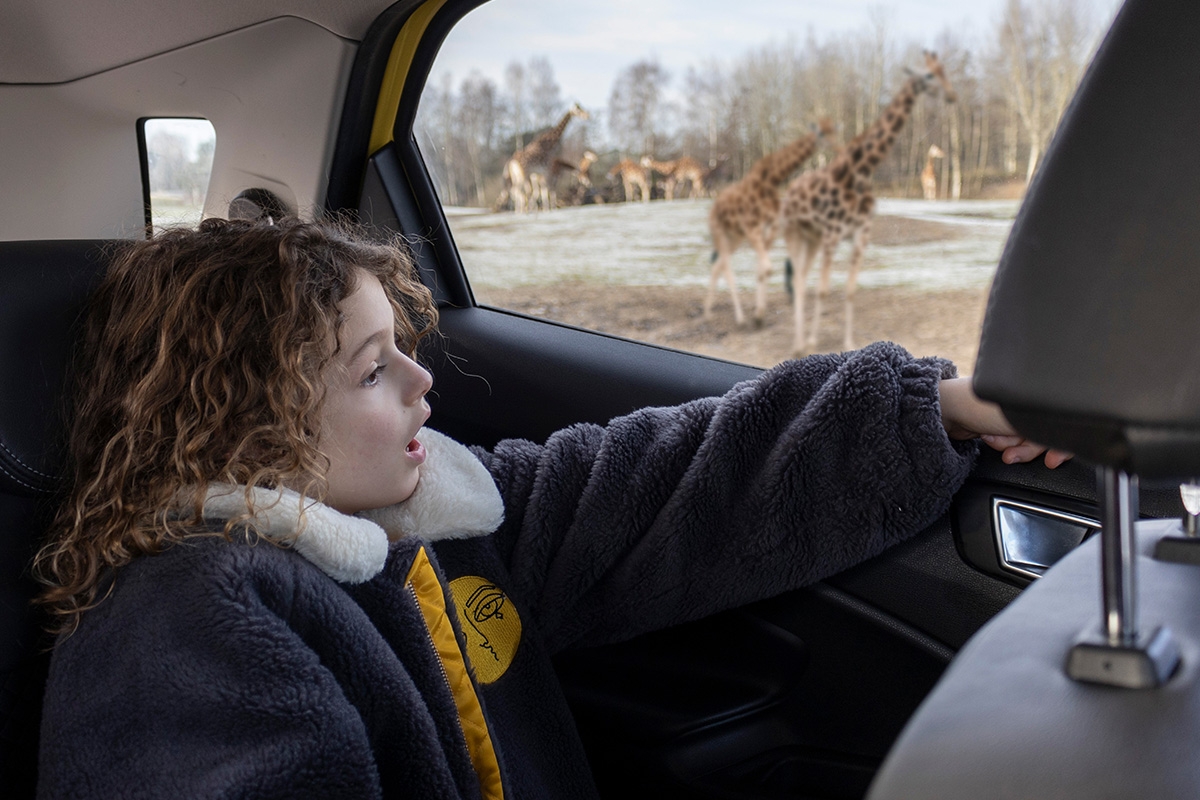 Weekend of midweek op Vakantiepark Dierenbos met toegang tot Beekse Bergen