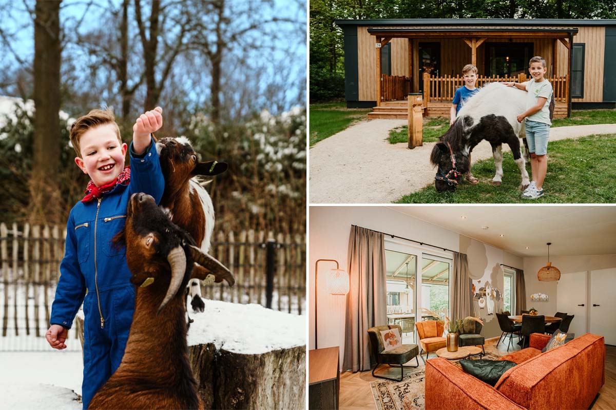 Weekend of midweek op Vakantiepark Dierenbos met toegang tot Beekse Bergen