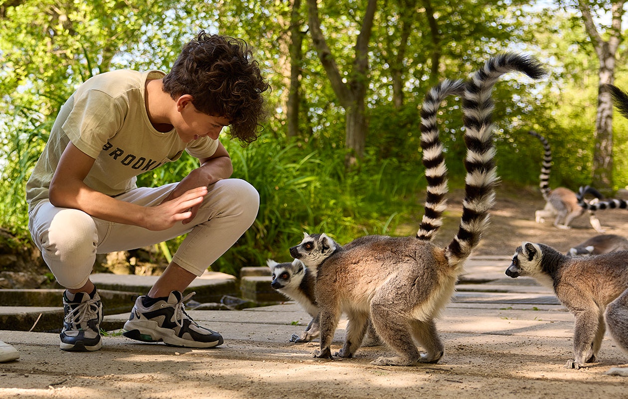 Midweek of weekend verblijven op Vakantiepark Dierenbos incl. AttractiePas