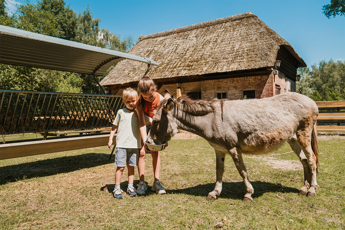 Midweek of weekend verblijven op Vakantiepark Dierenbos incl. AttractiePas