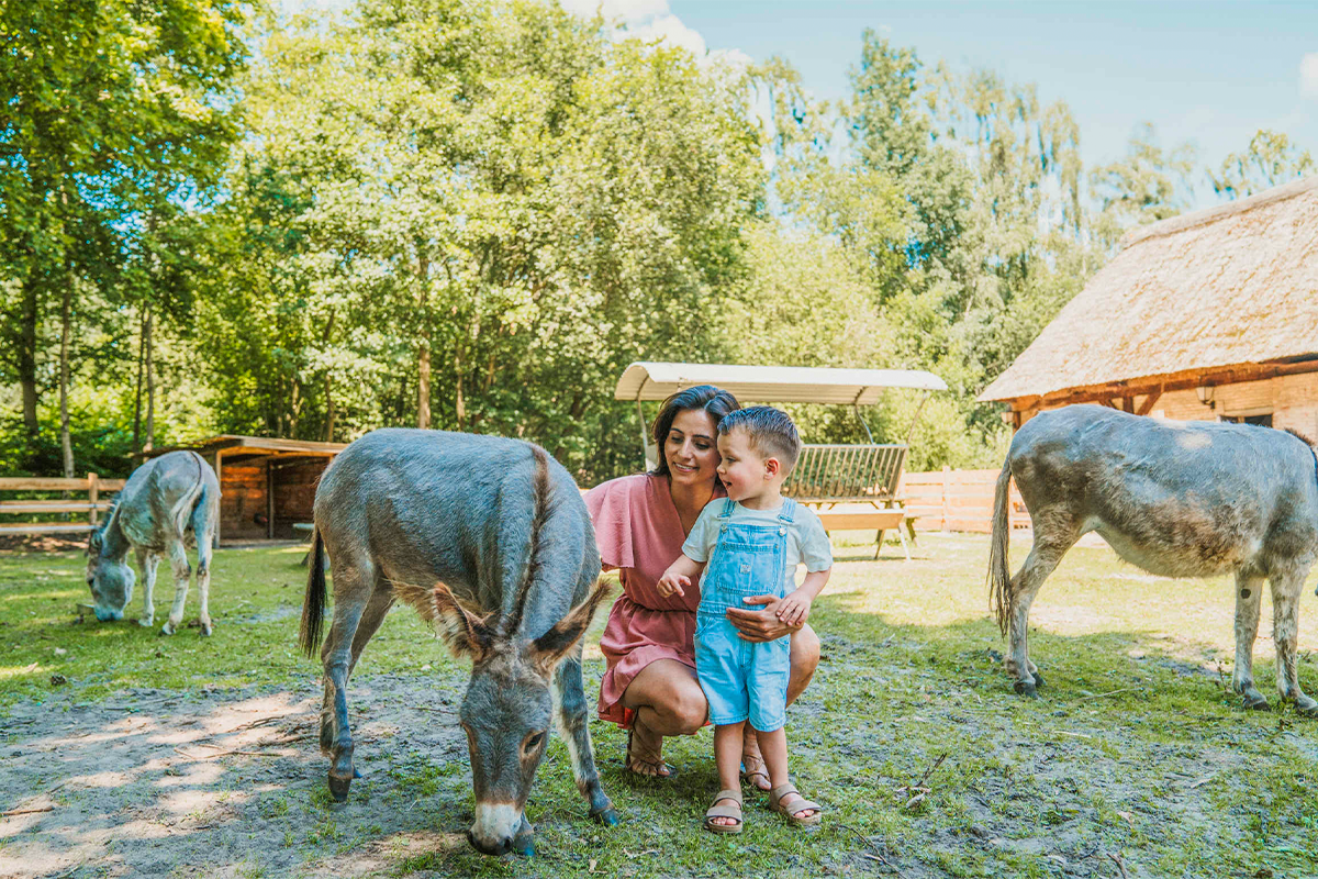 Verblijven op Vakantiepark Dierenbos inclusief AttractiePas