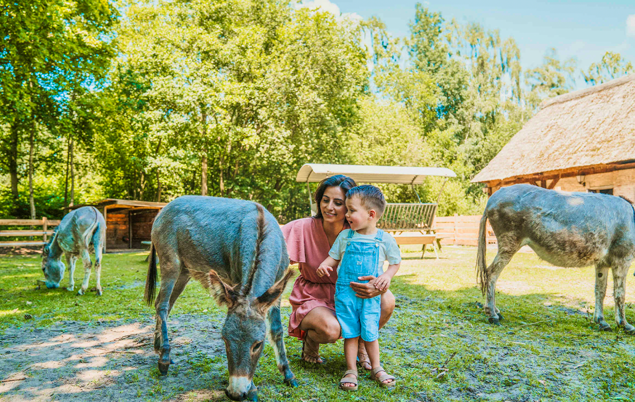 Verblijven op Vakantiepark Dierenbos inclusief AttractiePas