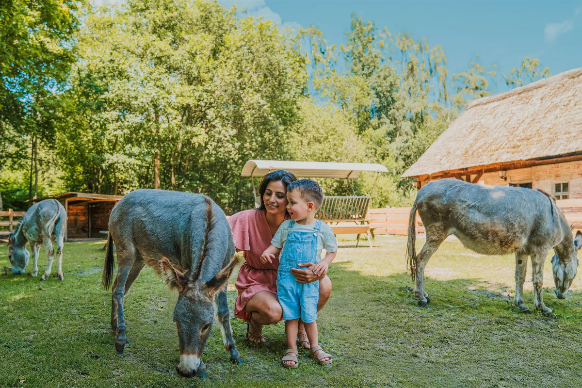 Midweek of weekend in Cottage Edelhert op Vakantiepark Dierenbos