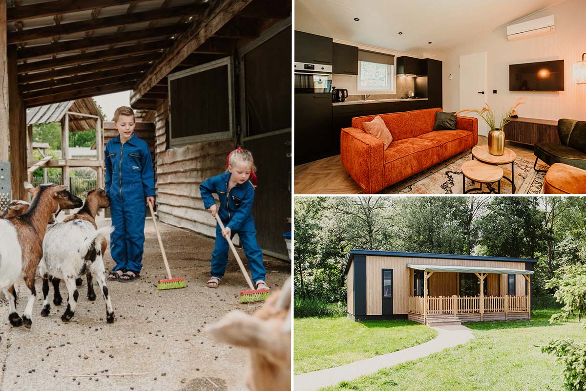 Midweek of weekend in Cottage Edelhert op Vakantiepark Dierenbos