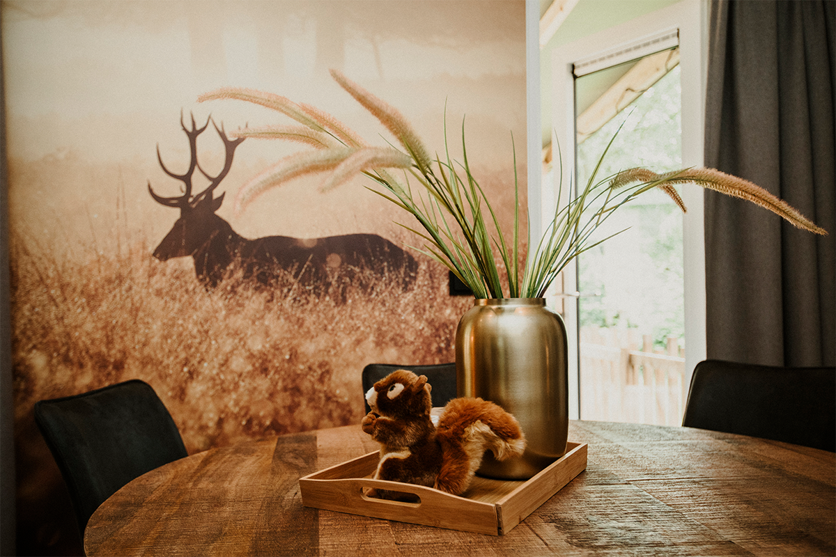 Midweek of weekend in Cottage Edelhert op Vakantiepark Dierenbos
