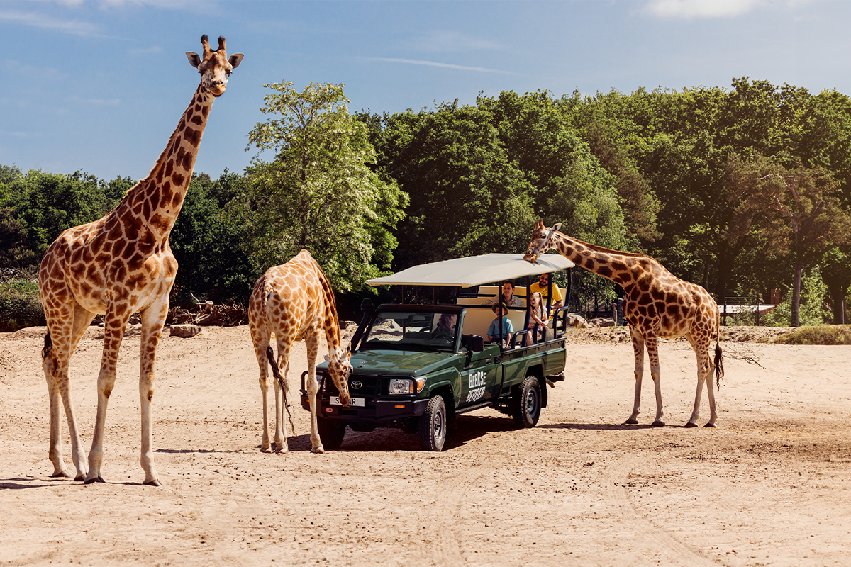 Verblijf een midweek of weekend op Lake Resort Beekse Bergen