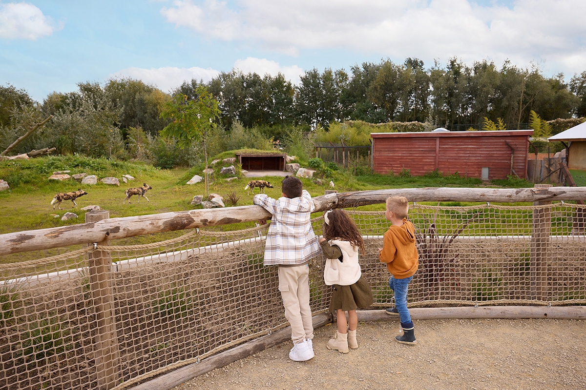 Verblijven op Vakantiepark Dierenbos inclusief AttractiePas