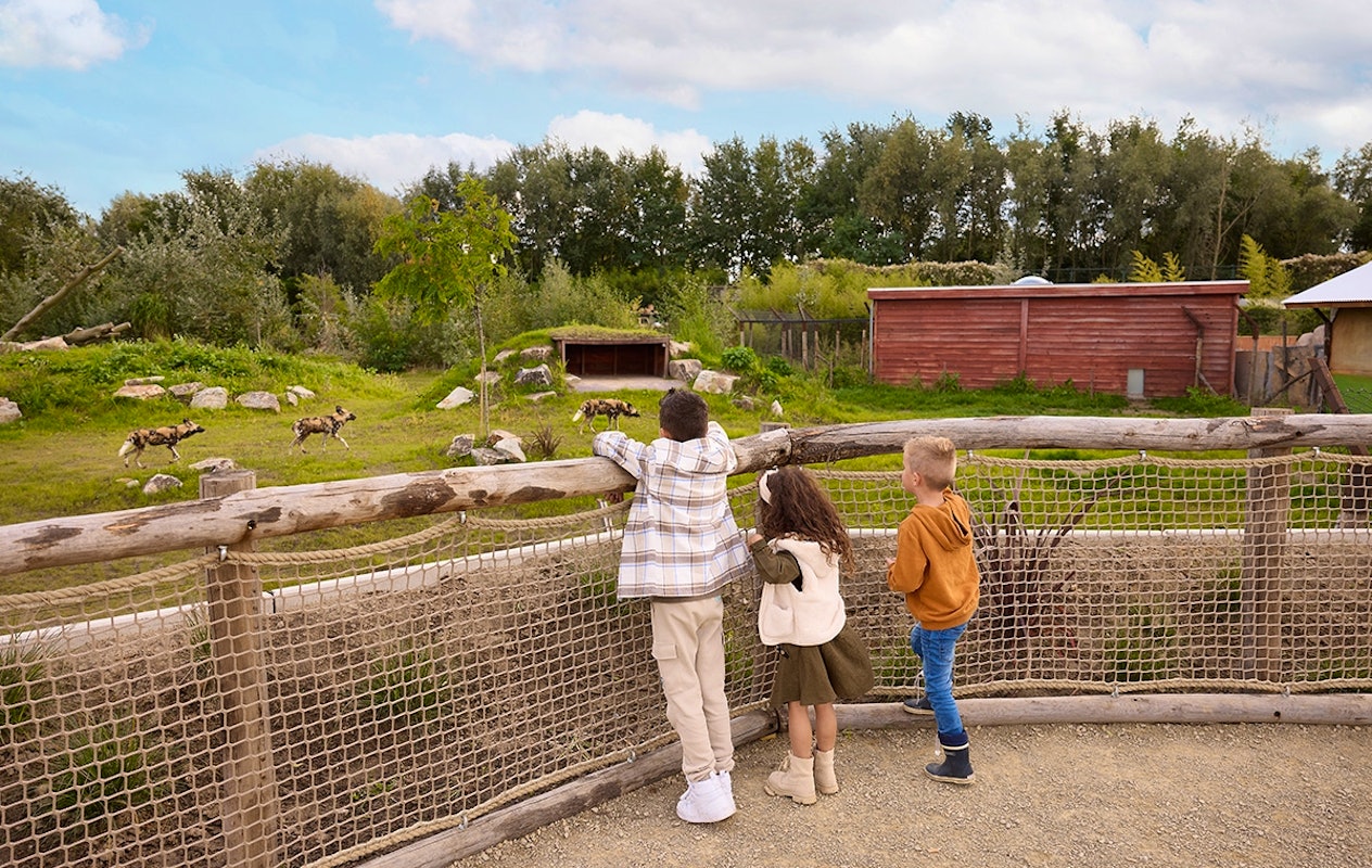Verblijven op Vakantiepark Dierenbos inclusief AttractiePas