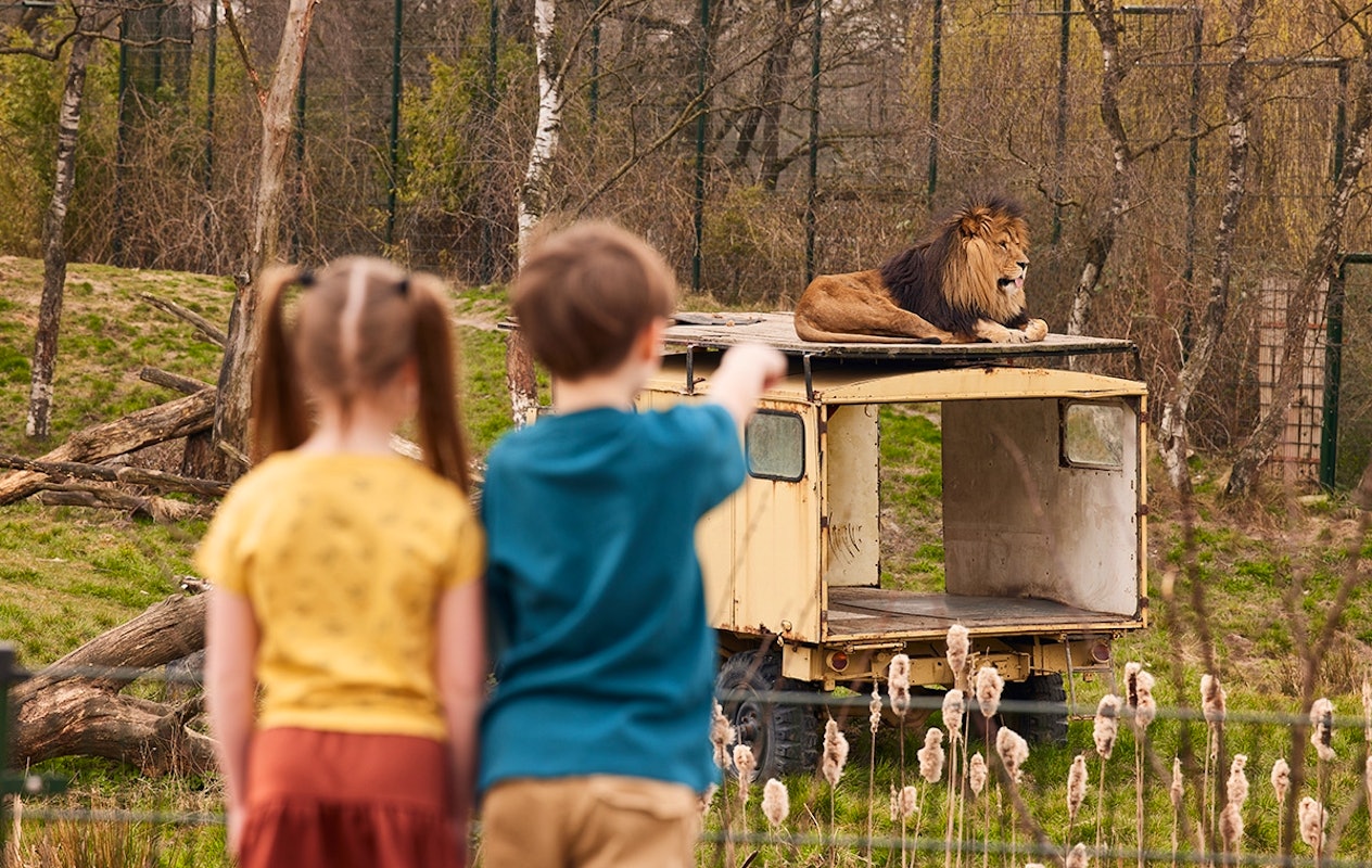Verblijven op Vakantiepark Dierenbos inclusief AttractiePas