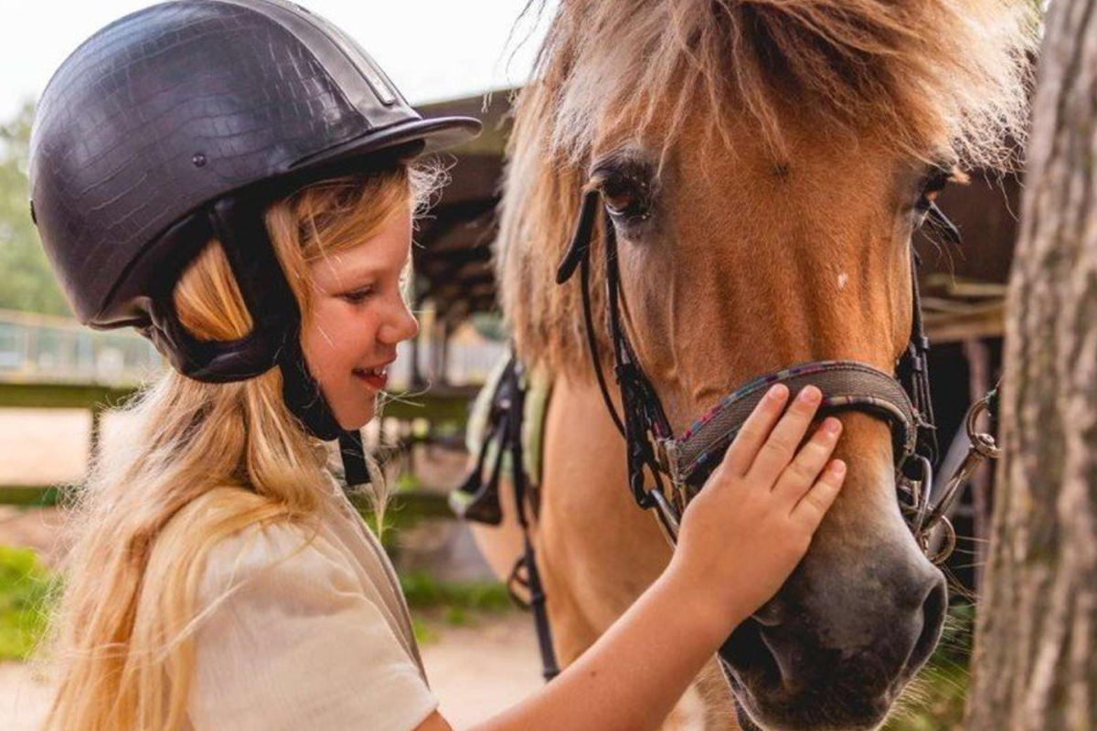 Overnachting(en) in een luxe safarilodge bij Vakantiepark IJsselhof 