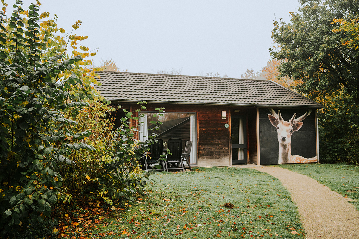Verblijf op Vakantiepark Dierenbos incl. vakanties en dagje uit naar keuze