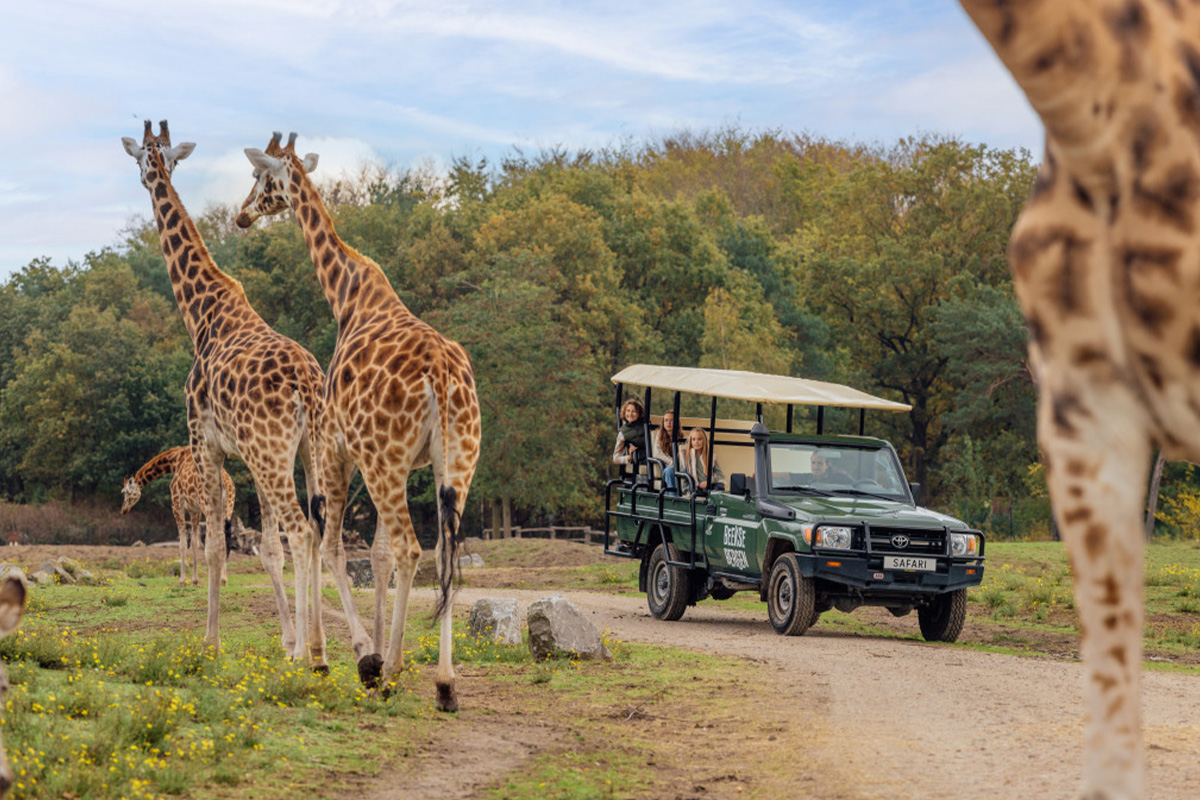 Bungalow Fazant NU tijdelijk te boeken tot 50% korting incl. vakanties!