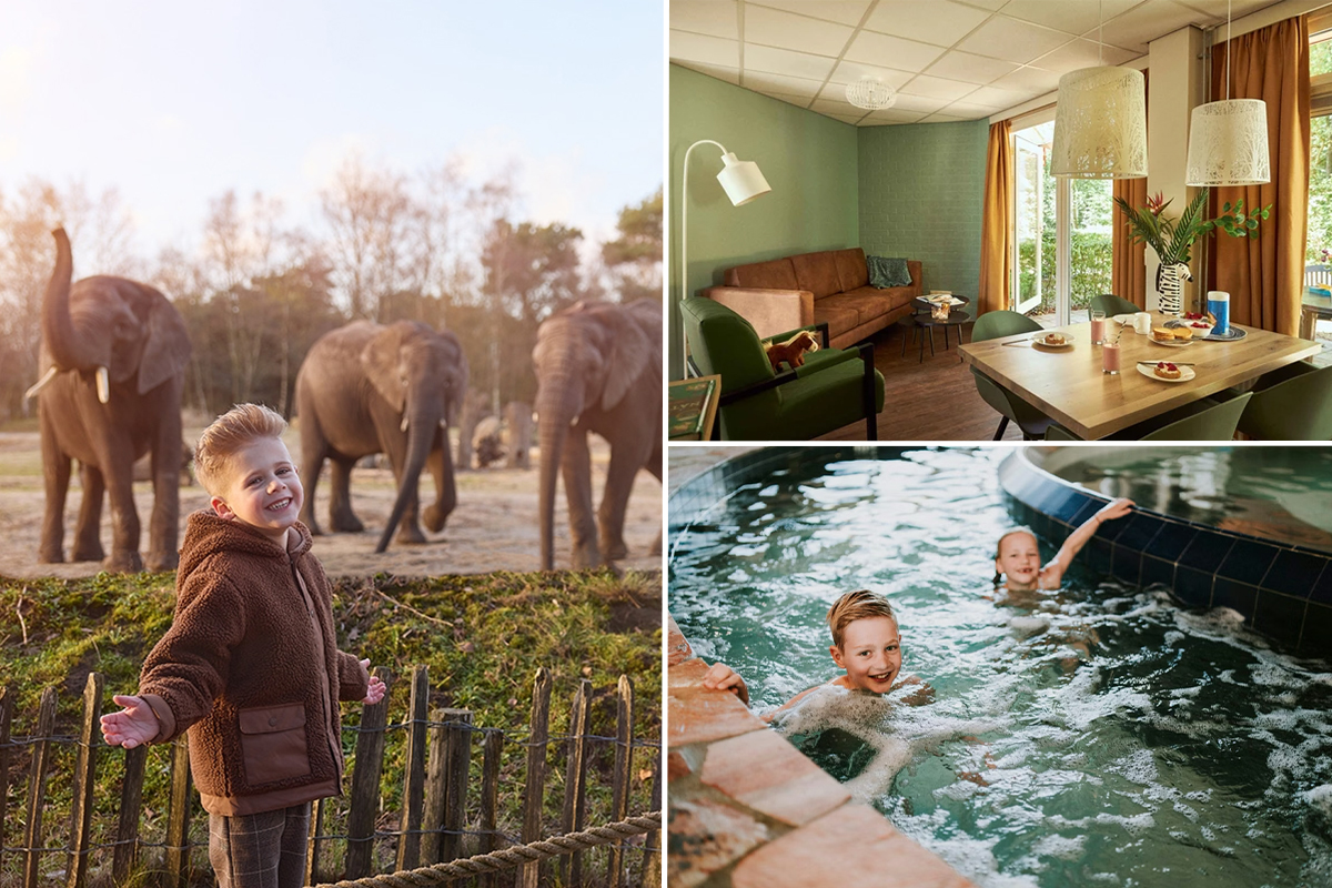 Bungalow Fazant NU tijdelijk te boeken tot 50% korting incl. vakanties!