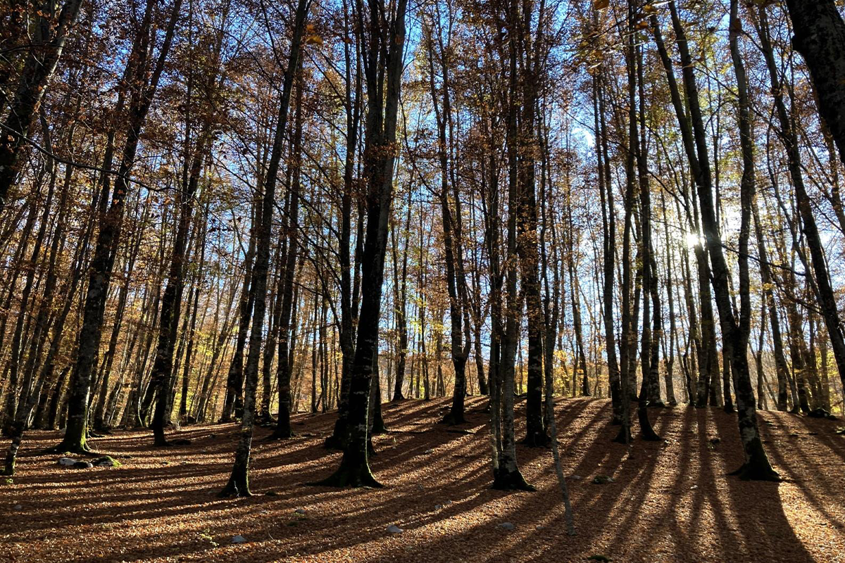 Overnachting bij Pension de Eyckenhoff op de Veluwe
