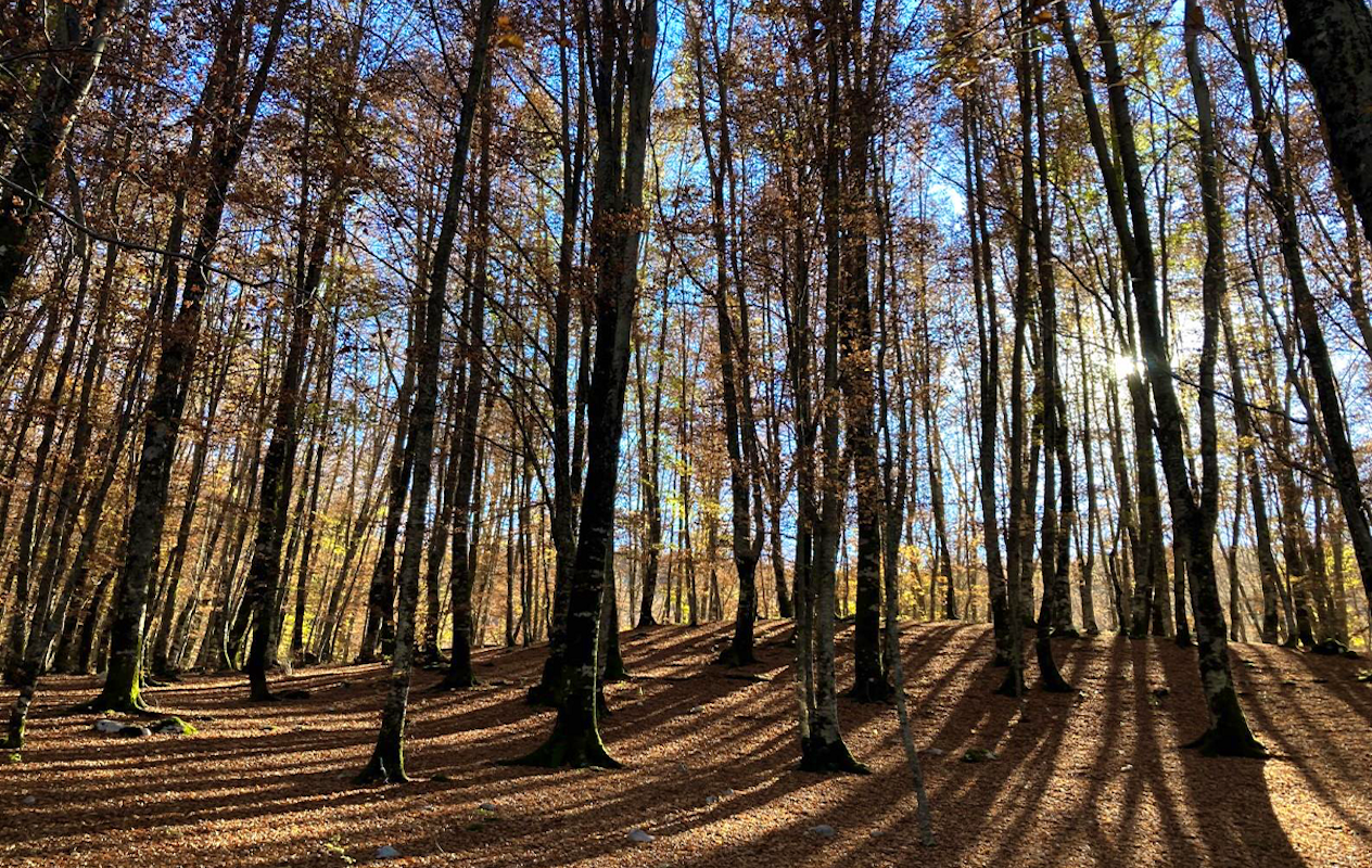 Overnachting bij Pension de Eyckenhoff op de Veluwe