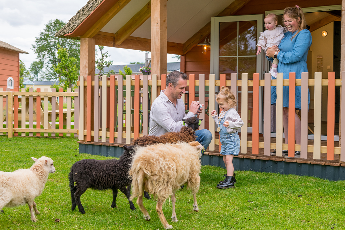 Verblijf Familie Resort Molenwaard + gratis toegang tot Stip de Pony Ranch