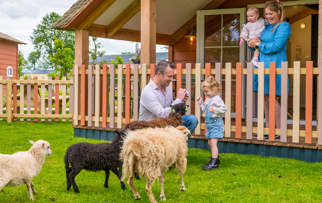 3 of 4 nachten Familie Resort Molenwaard + Avonturenboerderij Molenwaard