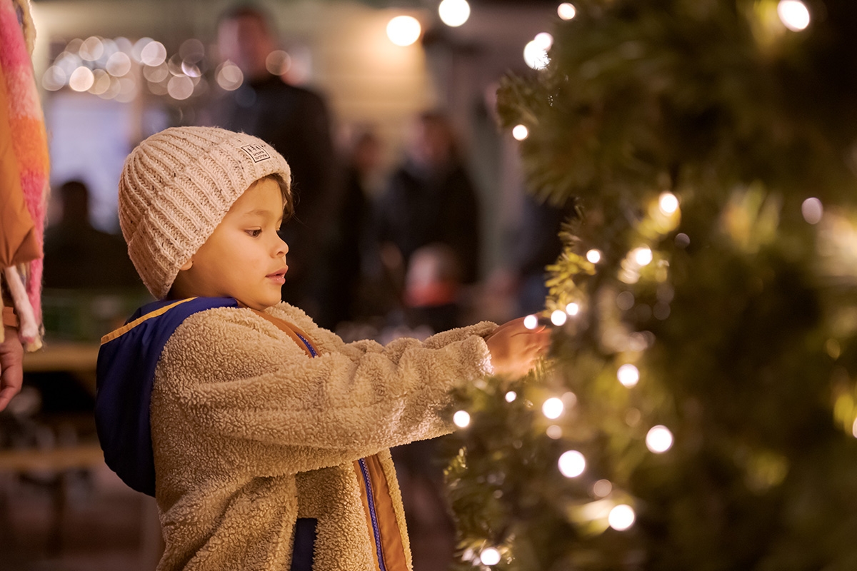 3 of 4 nachten Familie Resort Molenwaard + Avonturenboerderij Molenwaard