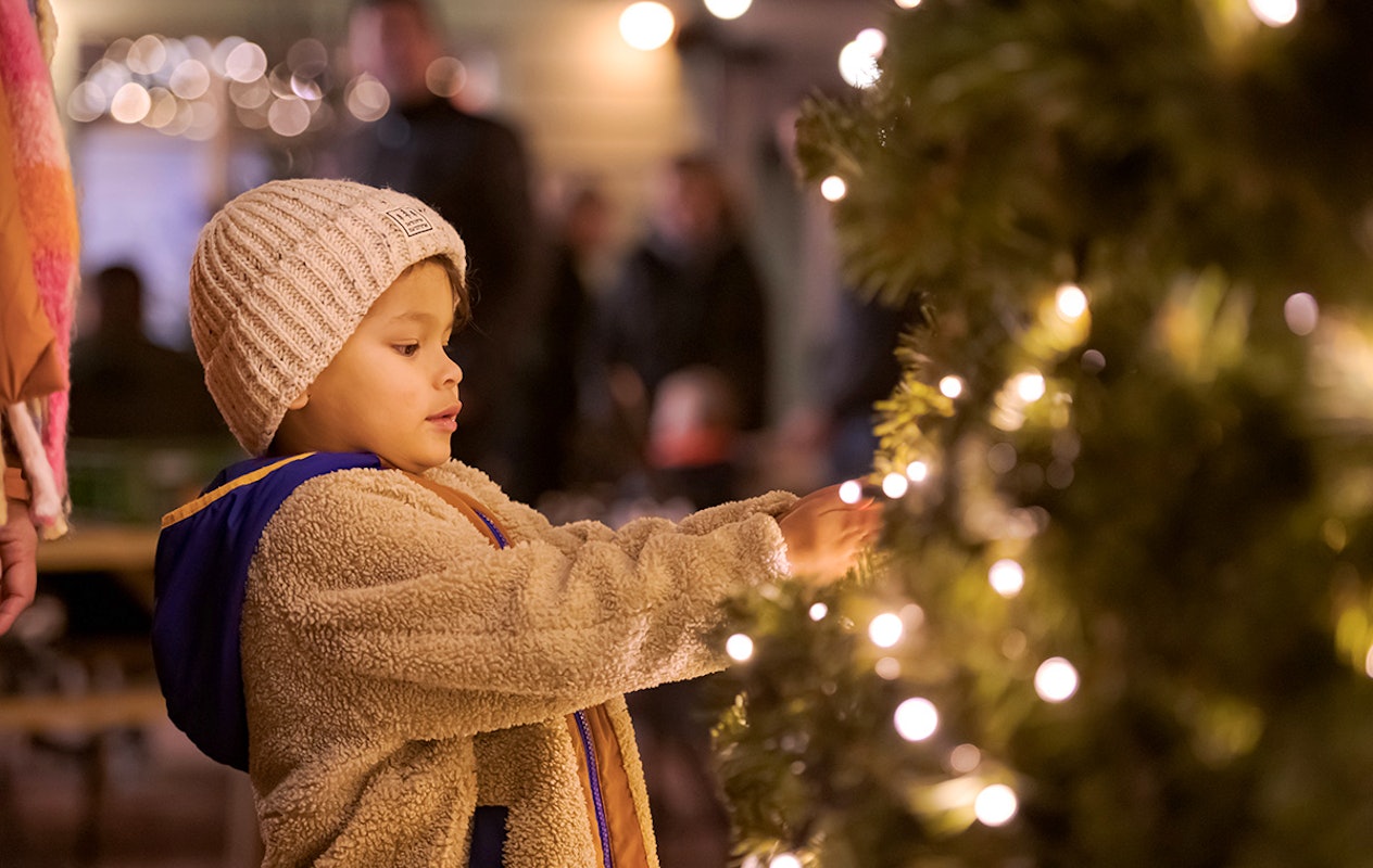 3 of 4 nachten Familie Resort Molenwaard + Avonturenboerderij Molenwaard