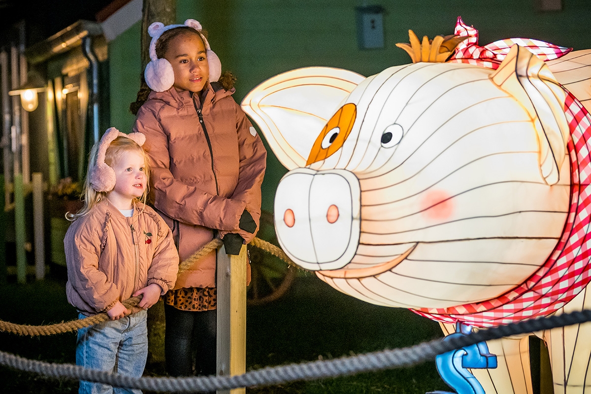 3 of 4 nachten Familie Resort Molenwaard + Avonturenboerderij Molenwaard