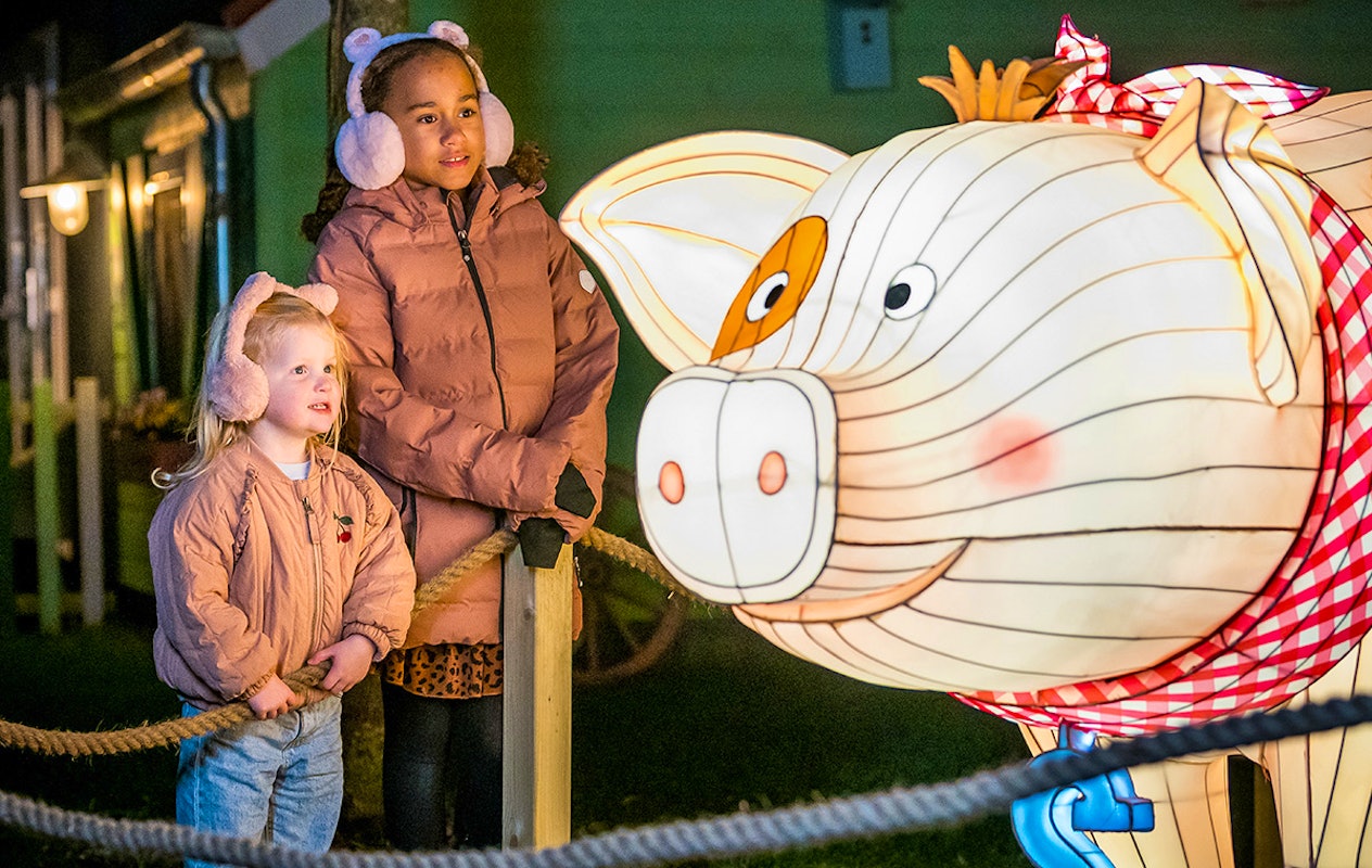 3 of 4 nachten Familie Resort Molenwaard + Avonturenboerderij Molenwaard