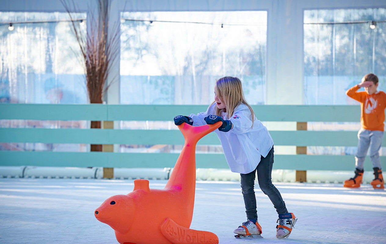 3 of 4 nachten Familie Resort Molenwaard + Avonturenboerderij Molenwaard