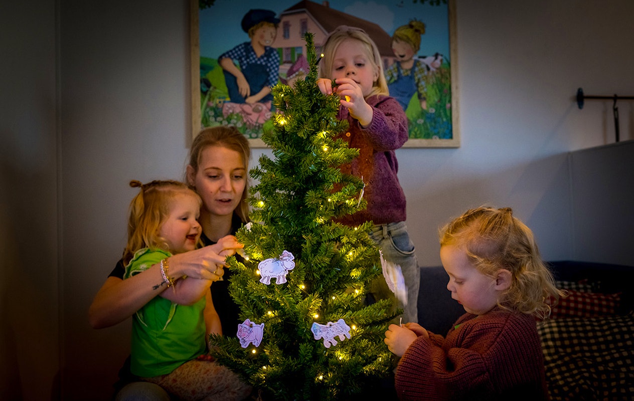 3 of 4 nachten Familie Resort Molenwaard + Avonturenboerderij Molenwaard