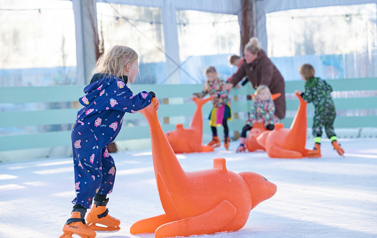 3 of 4 nachten Familie Resort Molenwaard + Avonturenboerderij Molenwaard