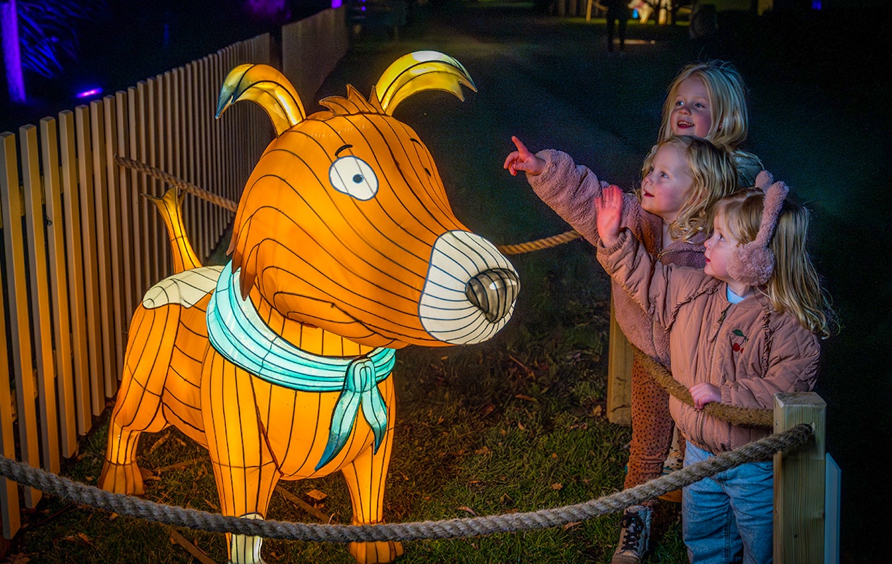 3 of 4 nachten Familie Resort Molenwaard + Avonturenboerderij Molenwaard