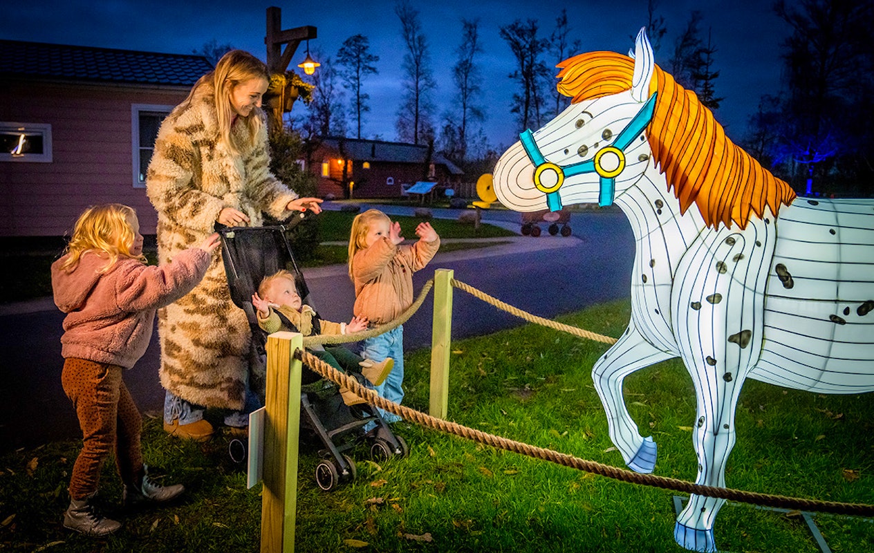 3 of 4 nachten Familie Resort Molenwaard + Avonturenboerderij Molenwaard