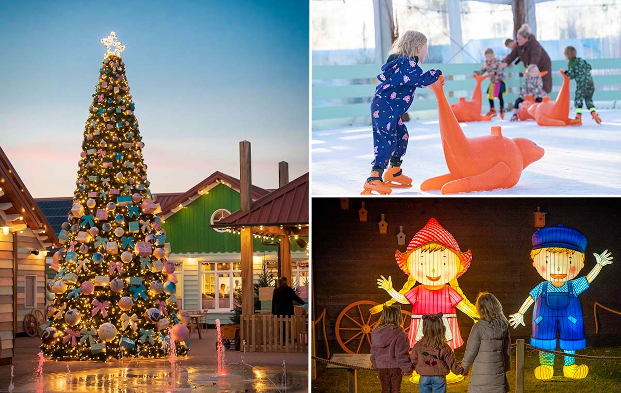 3 of 4 nachten Familie Resort Molenwaard + Avonturenboerderij Molenwaard