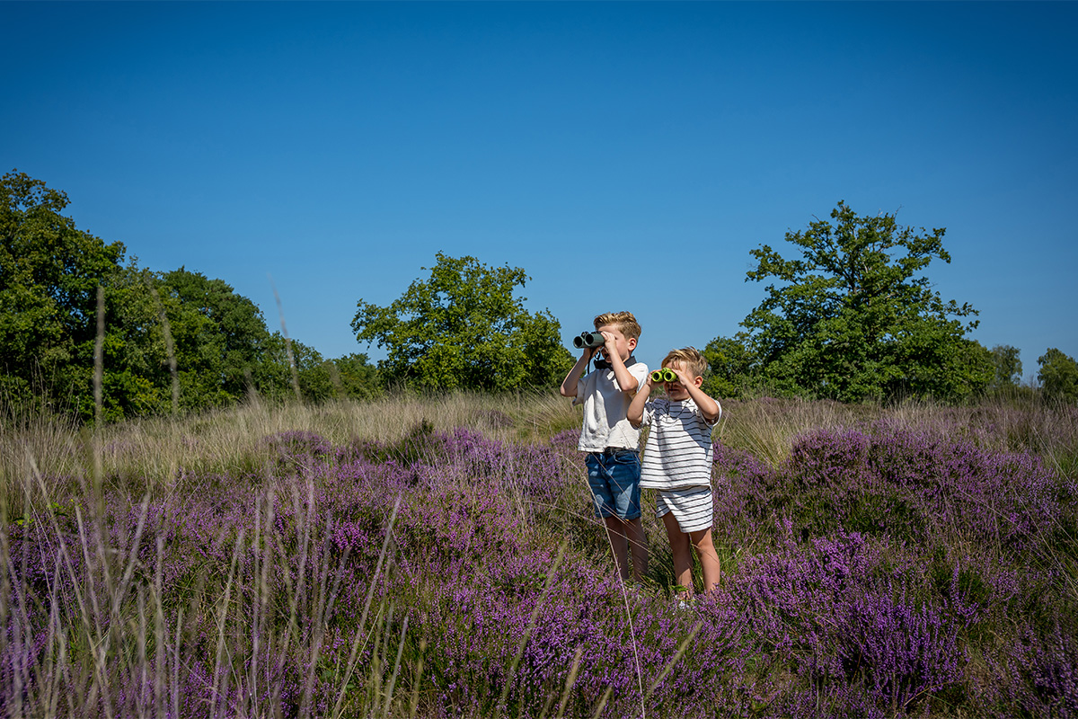 3 of 4 nachten Familie Resort de Tovertuin + Avonturenpark de Tovertuin