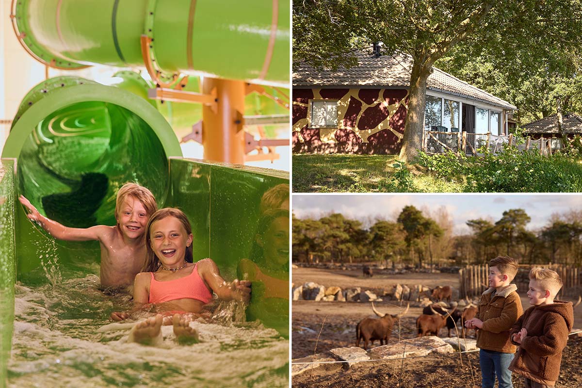 Verblijf een midweek of weekend op Lake Resort Safaripark Beekse Bergen