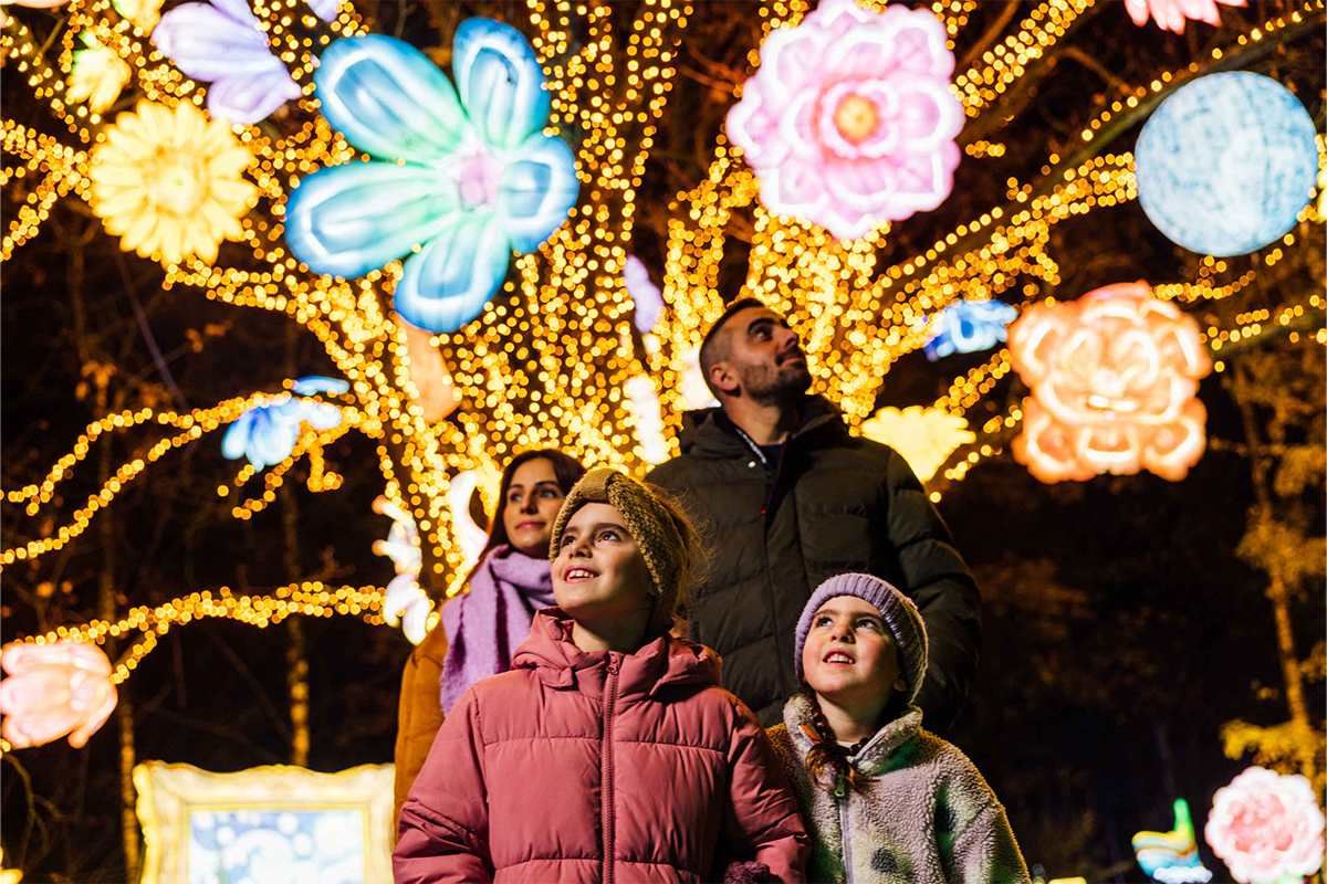 Verblijf een midweek of weekend op Lake Resort Safaripark Beekse Bergen